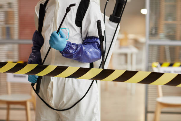 Professional Sewage Cleanup technician working in Tiger, GA